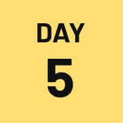 Day 5